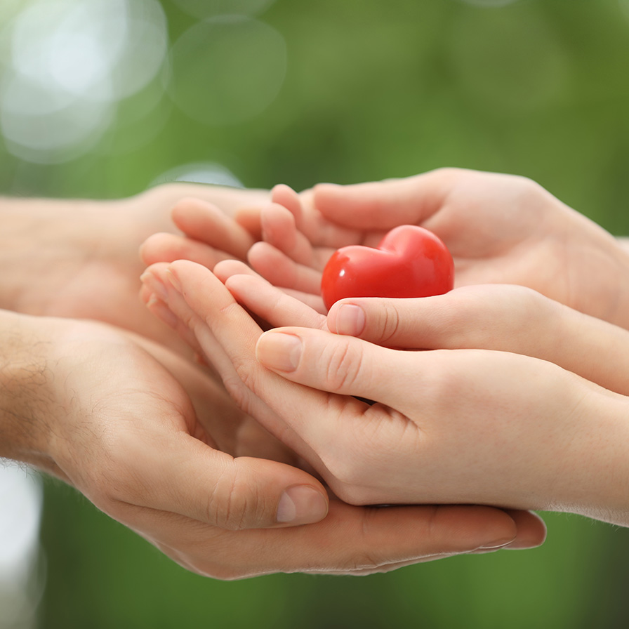 Image of hands holding each other with a heart in middle